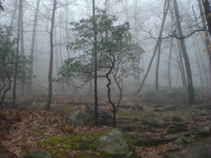 CIMG0053.JPG