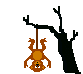 monkey.gif